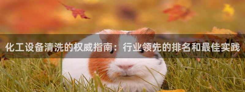 门徒娱乐平台登录官网