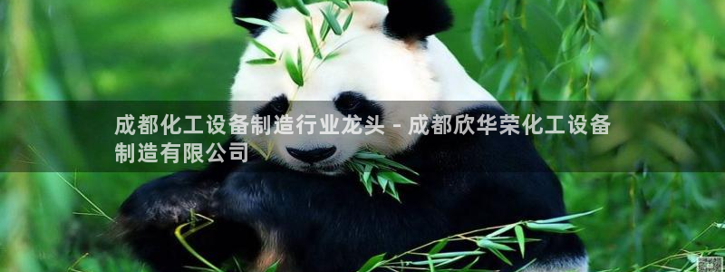 门徒娱乐下载手机版