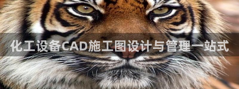 门徒娱乐平台可靠吗