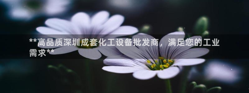 门徒平台家 5O6917 门徒