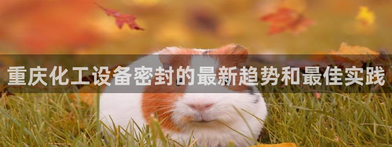 门徒娱乐注册下载