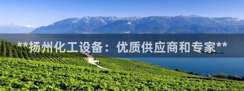 门徒平台注册登陆失败