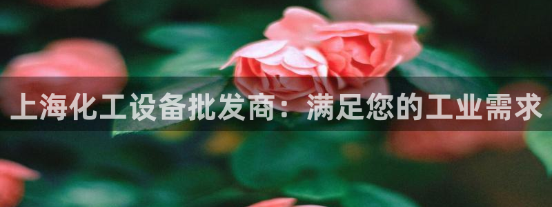 门徒娱乐成功案例