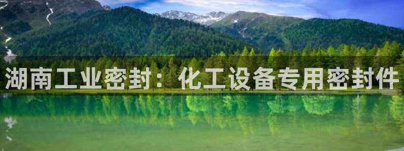 门徒平台地址