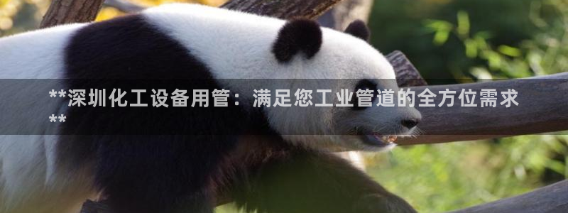 门徒平台怎么样才能赚钱