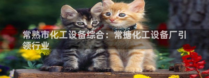 门徒娱乐的创始人背景