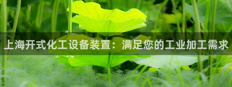 门徒平台寻 585341 门徒