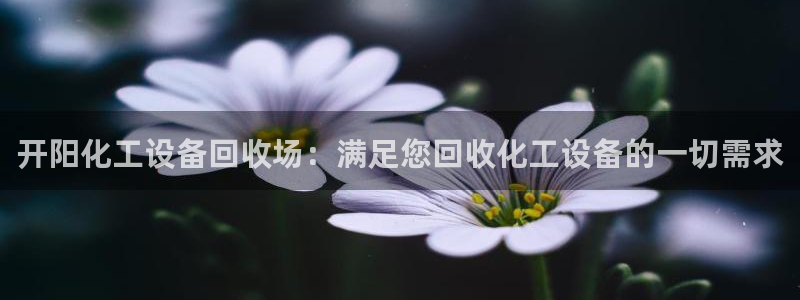 门徒娱乐他494o3 主管