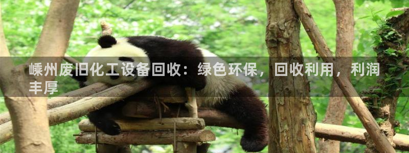 门徒娱乐平台下载