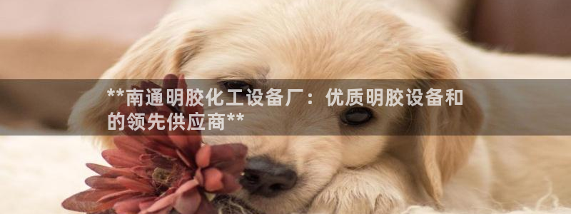 门徒平台开户要求是什么