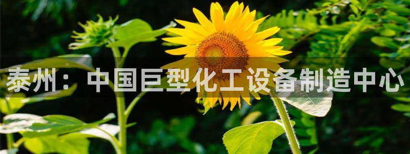 门徒娱乐