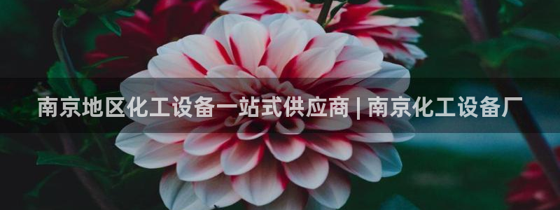 门徒娱乐登录地址在哪