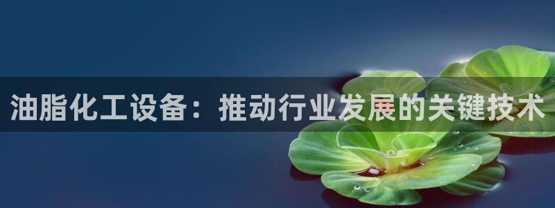 门徒平台主管代理