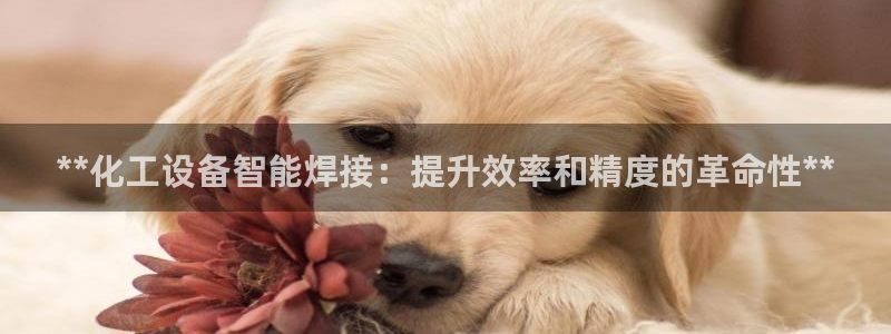 门徒平台注册官网入口
