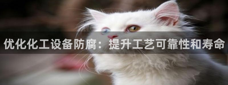 门徒娱乐平台代理怎么做到的呢