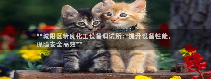 门徒平台布7O777