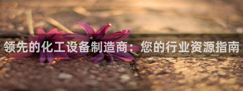 门徒娱乐负责人：领先的化工设备制造商：您的行业资源指南