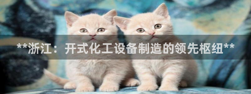 门徒平台登录步骤图