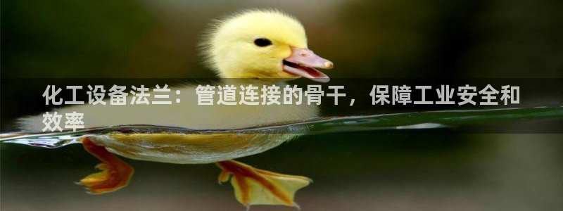 门徒平台是什么