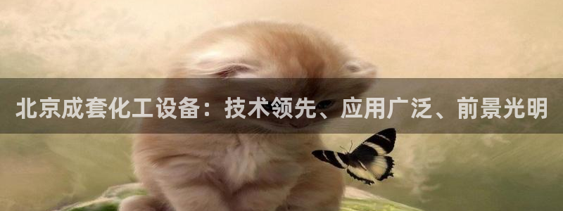 门徒娱乐是什么