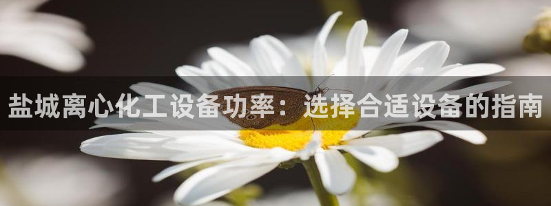 门徒平台注册中心