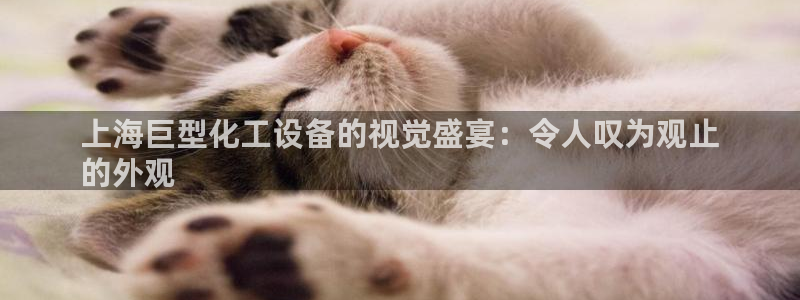 门徒娱乐成功案例有哪些
