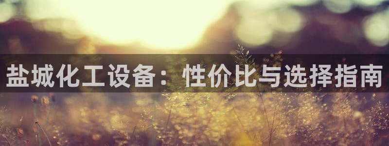 门徒平台开户：盐城化工设备：性价比与选择指南