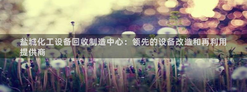 门徒娱乐联盟：盐城化工设备回收制造中心：领先的设备