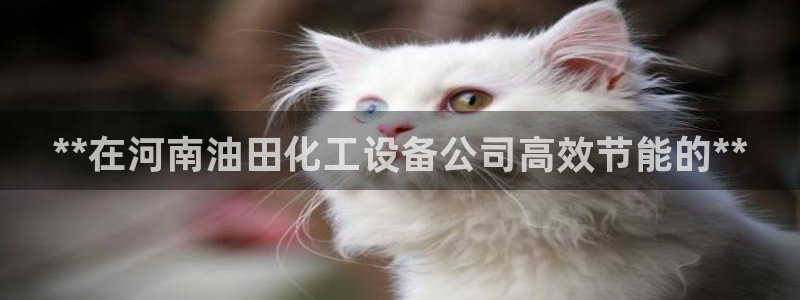 门徒娱乐成功案例有哪些：**在河南油田化工设备公司