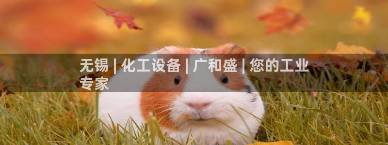 门徒平台怎么样才能赚钱