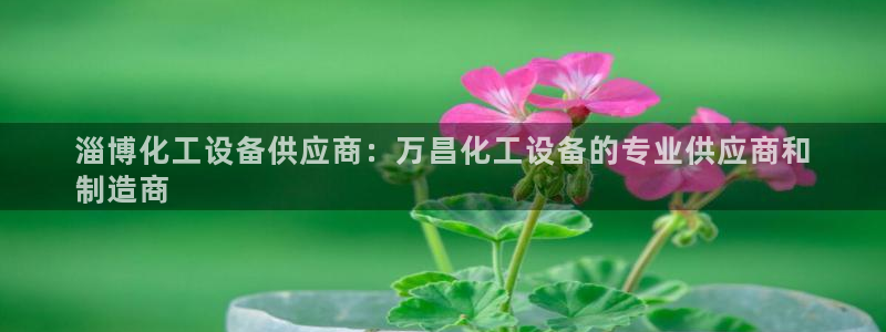 门徒平台云 411o31 门徒