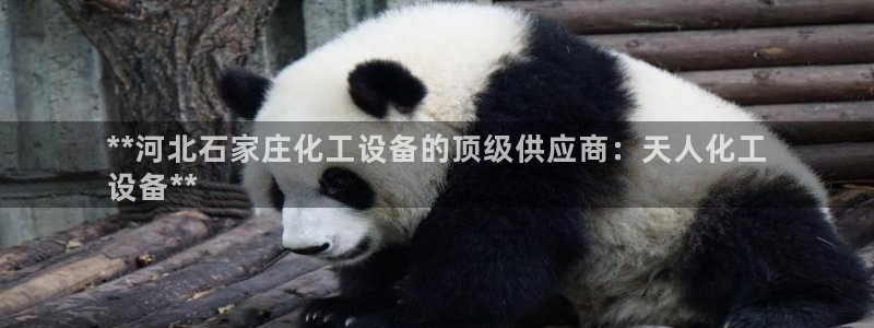 门徒娱乐平台下载安装