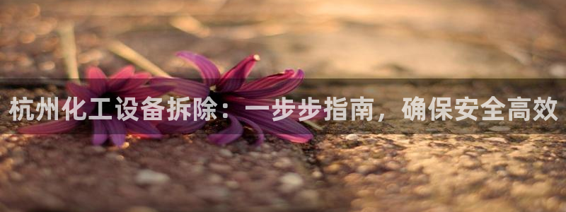 门徒平台官网注册入口