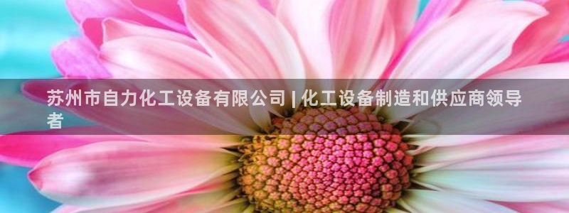 门徒平台链接