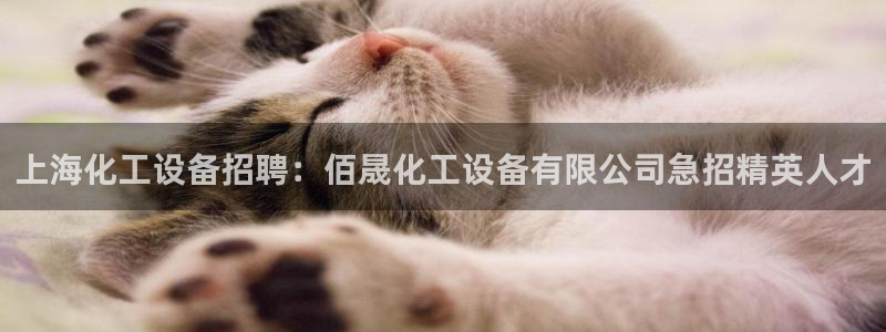 门徒娱乐财神联盟在线观看