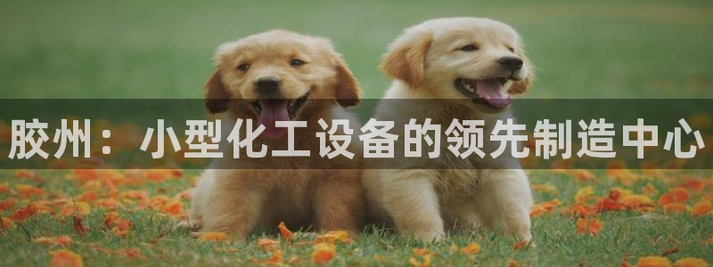 门徒娱乐平台代理怎么做到的呢：胶州：小型化工设备的