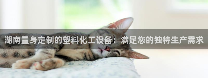 门徒娱乐用户评价与反馈：湖南量身定制的塑料化工设备：满足您的
