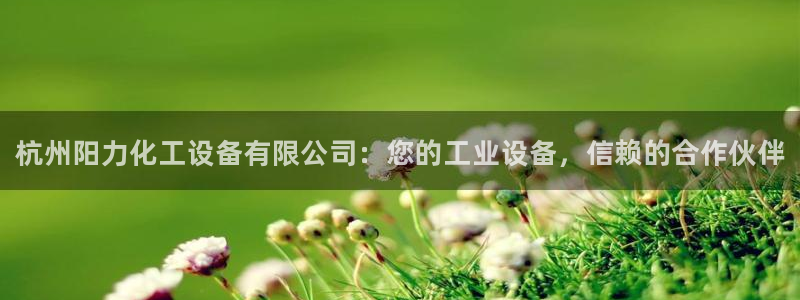 门徒娱乐游戏平台：杭州阳力化工设备有限公司：您的工业设备，信