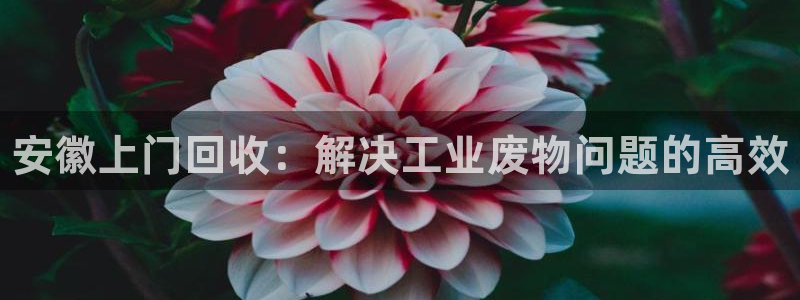 门徒娱乐联3.7.9.9.7 天乐