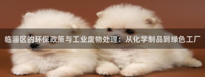 门徒平台开户流程：临淄区的环保政策与工业废物处理：