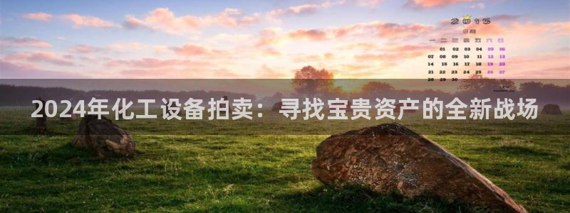 门徒平台主管代理：2024年化工设备拍卖：寻找宝贵