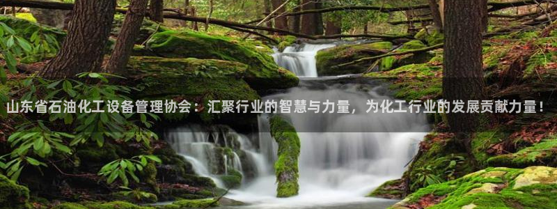 门徒平台定制 411O31 门徒