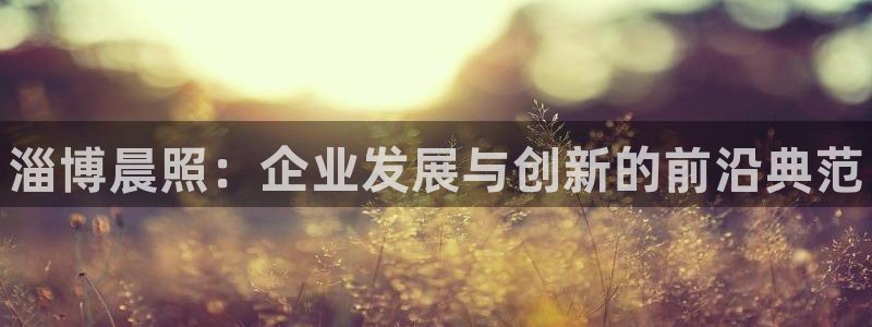 门徒平台定制 411O31 门徒